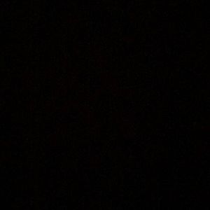 Meet your Posher, Mia